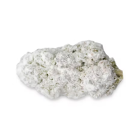 Girl Scout Cookies THCA Snowcap Flower