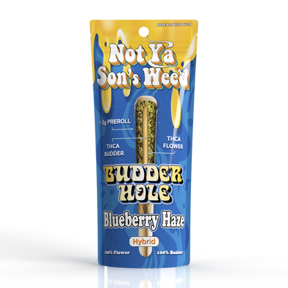 NYSW Preroll