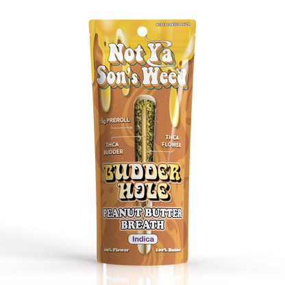 NYSW Preroll